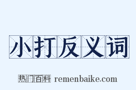 小打反义词是什么意思的图片